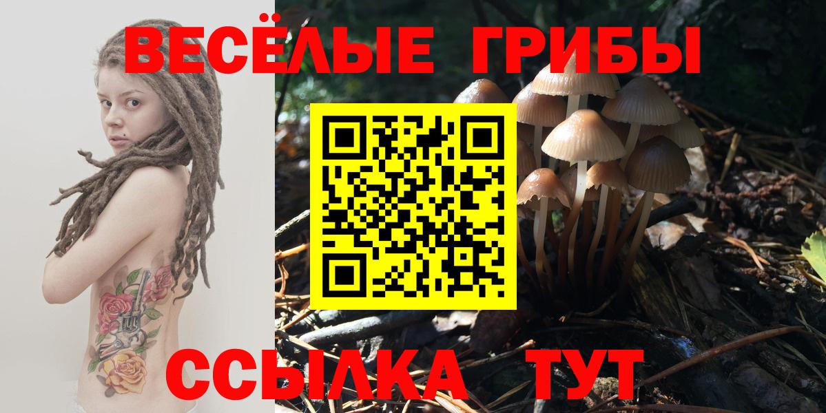 Псилоцибиновые грибы GOLDEN TEACHER  Псилоцибиновые грибы Magic Shrooms  Вход с VPN  Шелехов 
